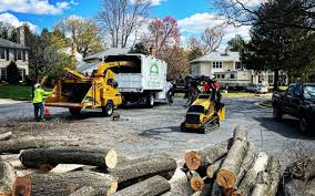  Elmer, NJ Tree Services Pros